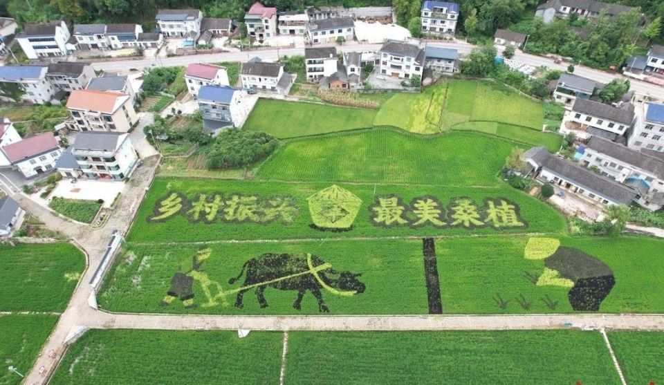 共识, 慈利县政府 共识, 慈利县政府