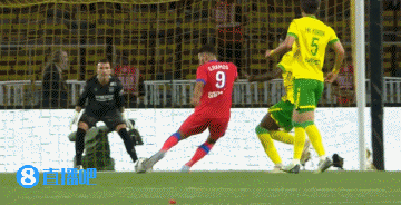 gif, ws
